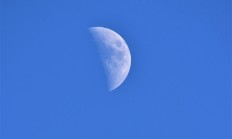 马斯克拖后腿 美国为登月着急；只要能赢中国 谁来都行