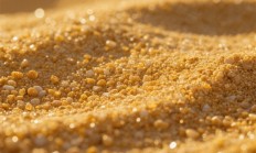 从沙子变处理器：总共分几步