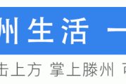 滕州:关于秋季空中飞虫问题整治,官方回复了→